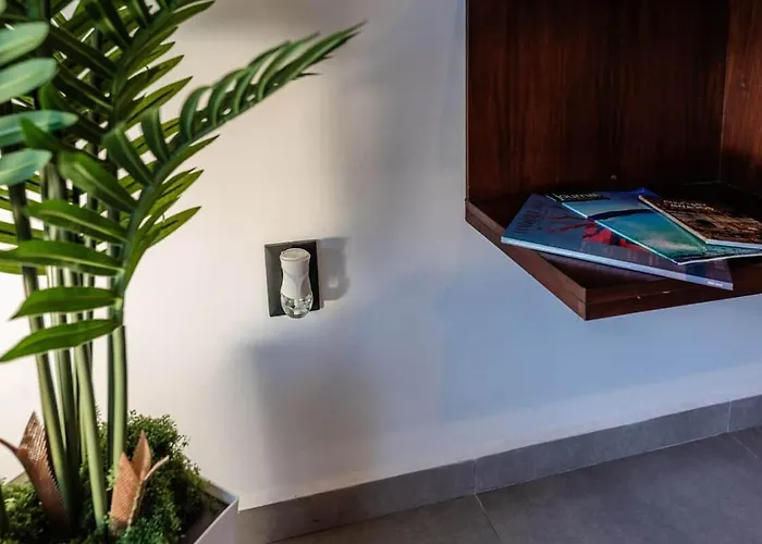 New Listing • Prime Location • Cozy & Modern Apartamento Cabo San Lucas